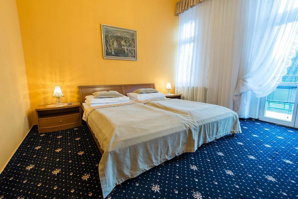 Monti Spa Франтишкови-Лазне Номер фото